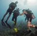 US Navy divers and Belizean Coast Guard divers work together during Southern Partnership Station '14