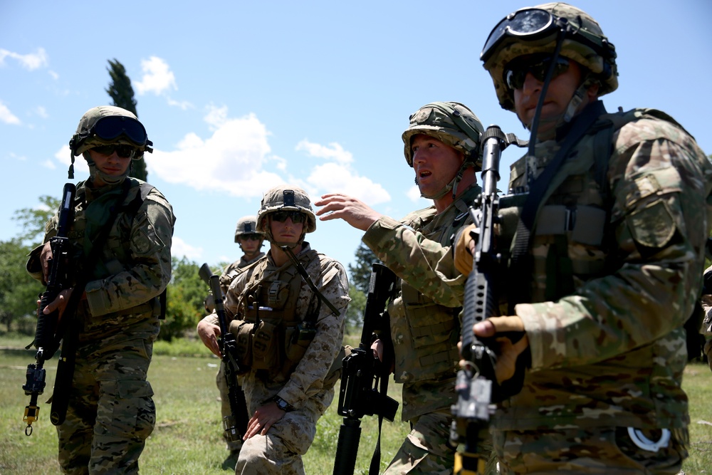 Marines and Georgians execute cordon and search training