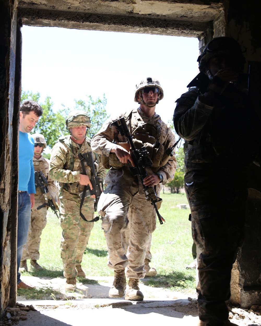 Marines and Georgians execute cordon and search training