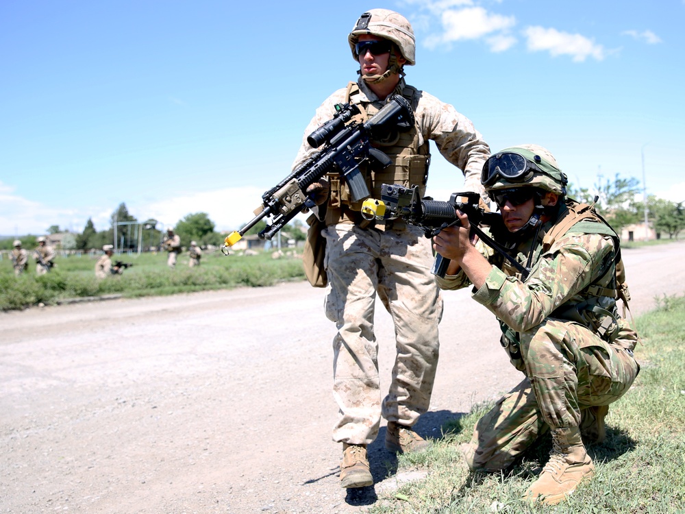 Marines and Georgians execute cordon and search training