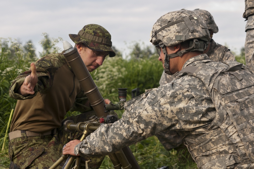 US, Estonian Mortar teams conduct live-fire training