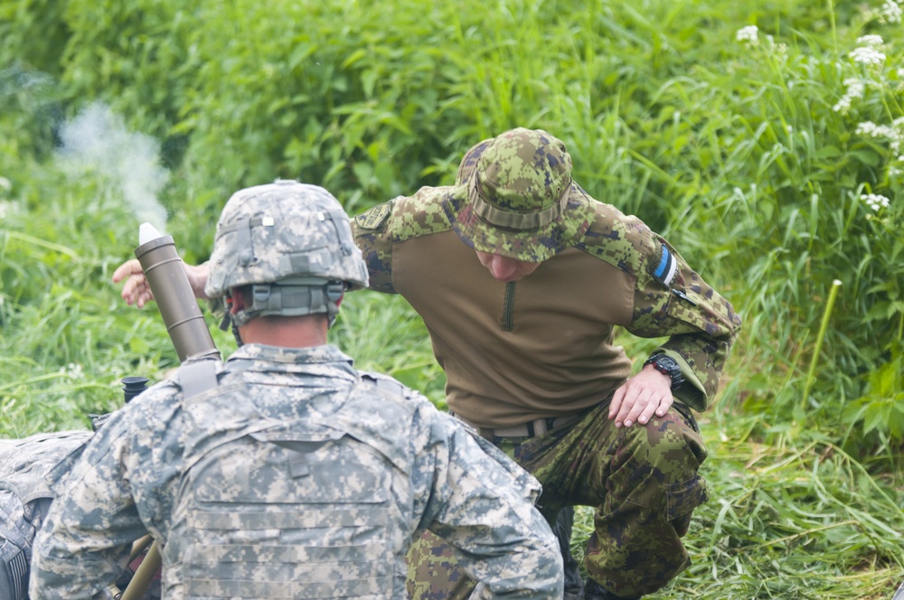 US, Estonian Mortar teams conduct live-fire training