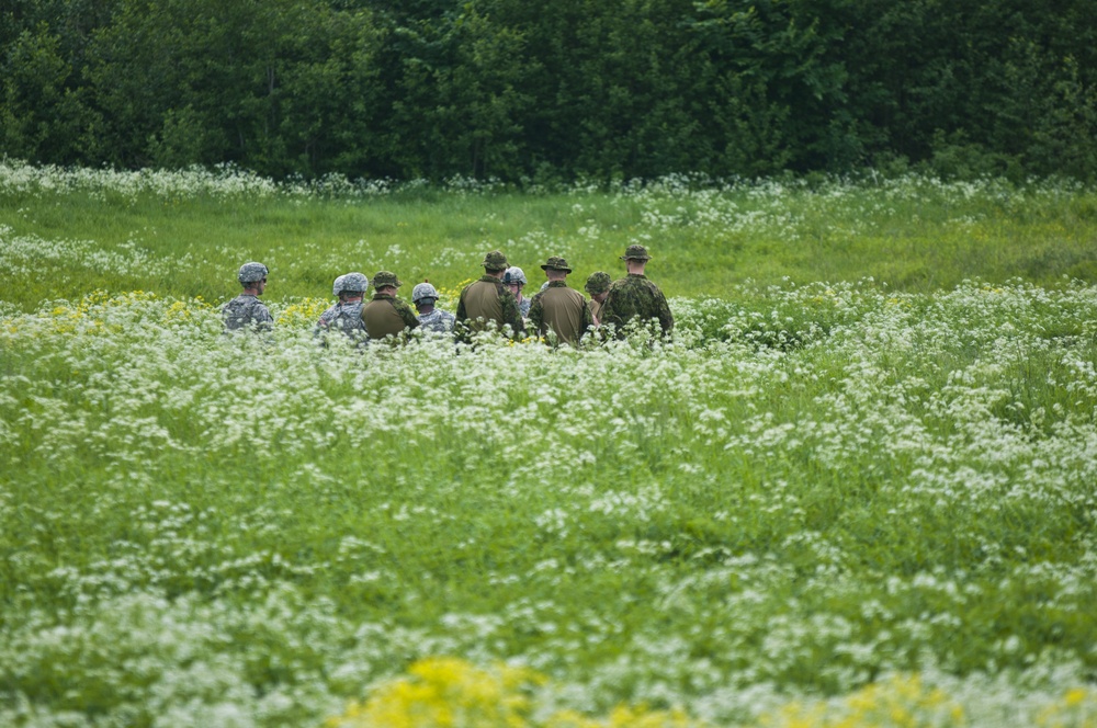 US, Estonian Mortar teams conduct live-fire training