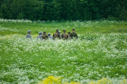 US, Estonian Mortar teams conduct live-fire training