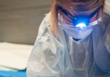 Soldiers and Sailors intertwined at QLLEX