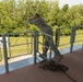 76th Infantry Brigade Combat Team trains on rappel tower during annual training