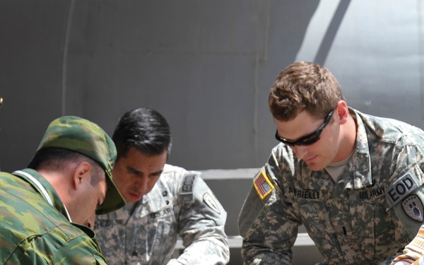 Fort Hood Soldiers participate in international EOD training
