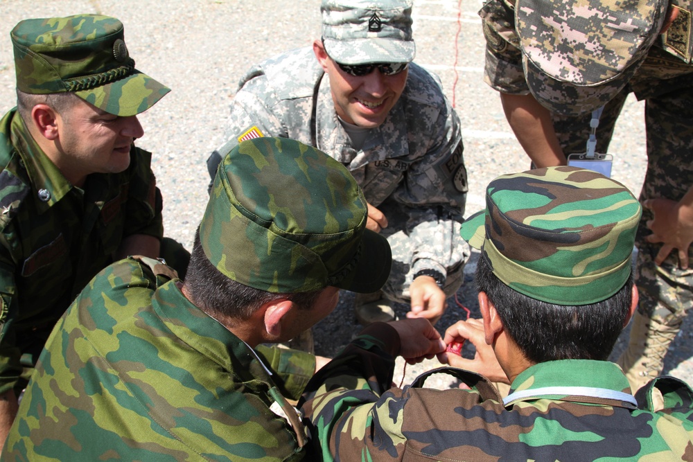 Fort Hood Soldiers participate in international EOD training