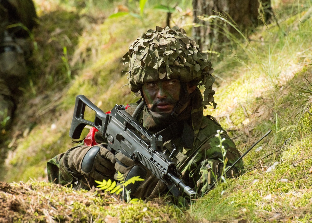 Soldiers test their combat skills and interoperability during a multinational field training exercise