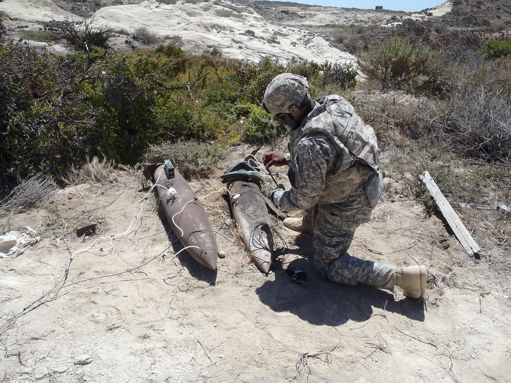 20th CBRNE conducts joint exercise