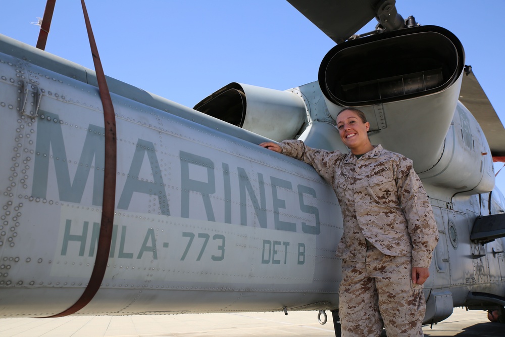 Reserve Marine pursues helping to heal mentally wounded veterans returning from war