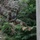 ROK soldiers, US Marines strap in for Mountain Warfare Training Course A military service member in full combat uniform and helmet is rappelling down a wooden wall structure using ropes and harness equipment. The soldier is suspended mid-air with legs extended, gripping the rope with both hands. The background features rocky terrain and dense green vegetation, suggesting a training environment.