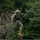 ROK soldiers, US Marines strap in for Mountain Warfare Training Course A military service member in full camouflage uniform and helmet is rappelling or traversing on multiple ropes suspended in the air. The individual appears to be conducting a rope-crossing or aerial traverse exercise in a mountainous, forested environment. The setting suggests a military training exercise involving vertical or horizontal rope techniques.