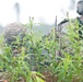 US paratroopers complete field exercise in Estonia