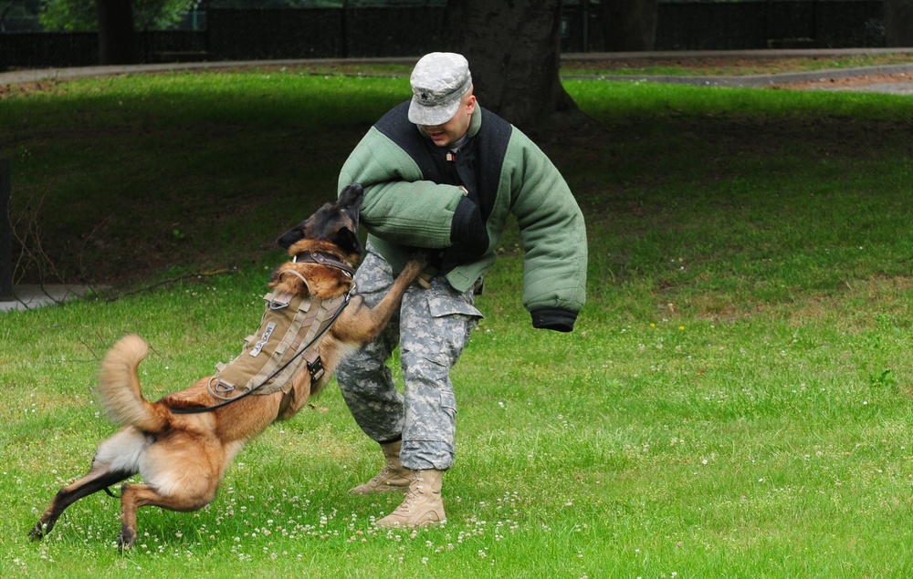 Operation Spirit promotes partnership between German, American schools
