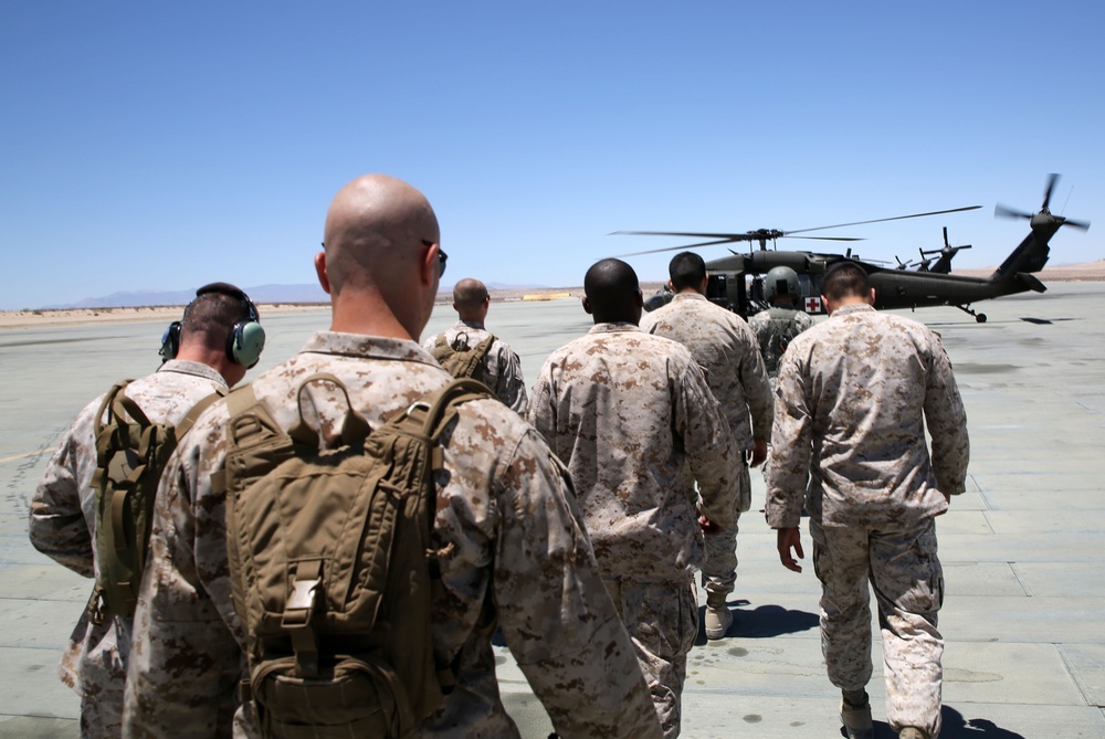 DVIDS Images Marines and New Mexico Army National Guard work