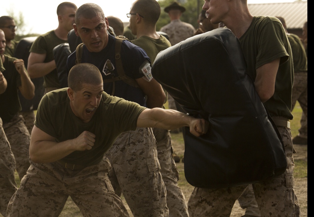 Photo Gallery: Parris Island recruits learn basis of Marine Corps martial arts