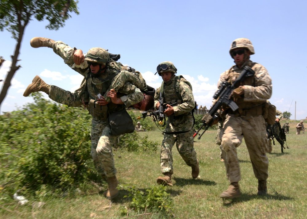 Marines, Georgians host Dv day for Agile Spirit 14