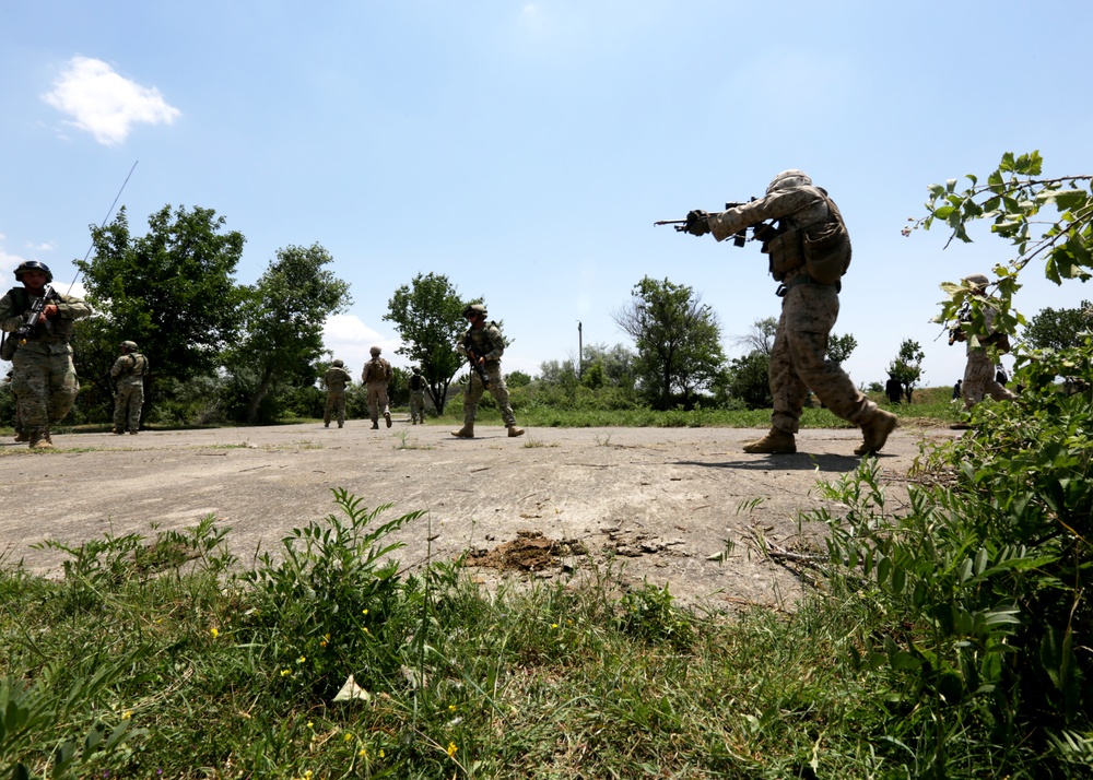 Marines, Georgians host Dv day for Agile Spirit 14