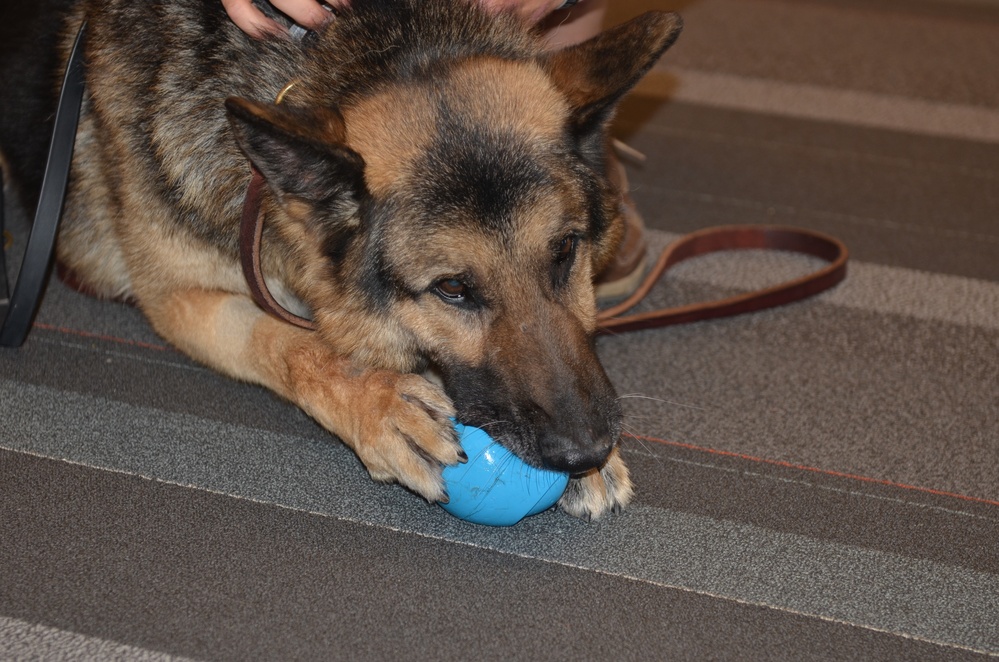 Retired MWD comes home