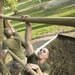 Golf Company recruits overcome fears on Confidence Course