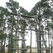 Golf Company recruits overcome fears on Confidence Course