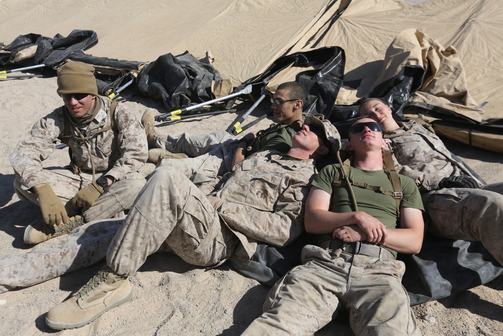 Exercise Desert Scimitar2014