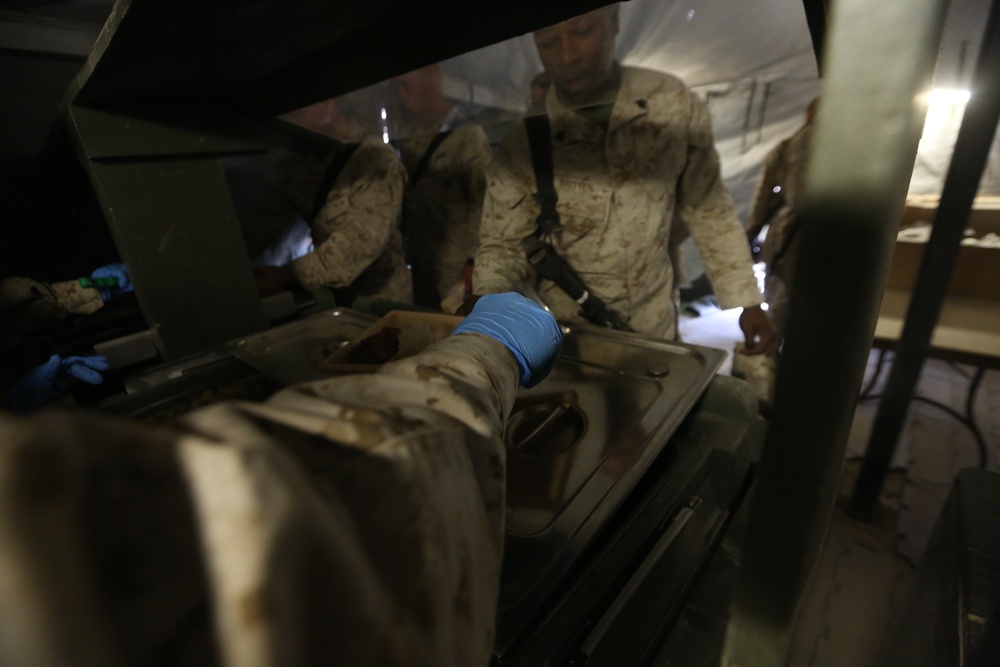 Exercise Desert Scimitar 2014