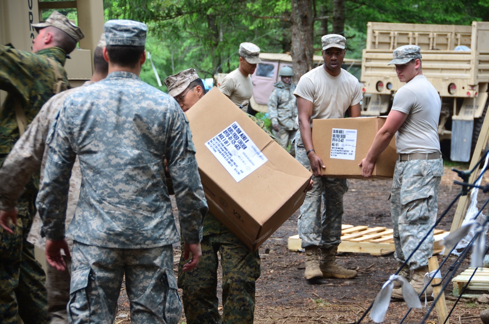 Soldiers and Marines unloading a truck