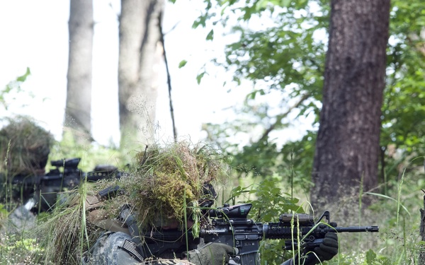 173rd Airborne Brigade conducts live fire exercise in Poland