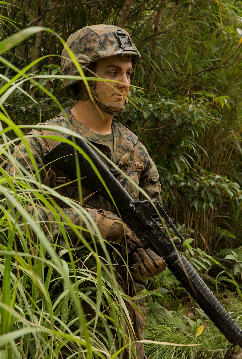 Jungle training pushes Marines to limit