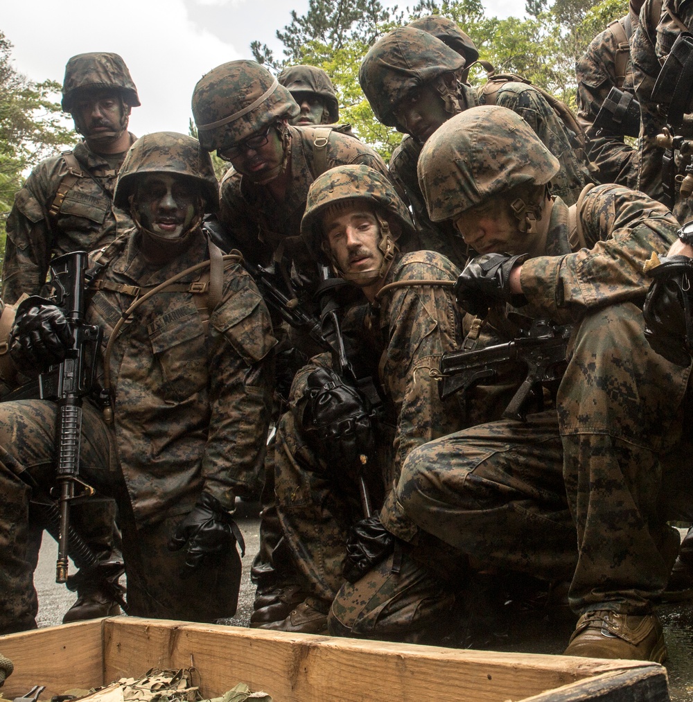 Jungle training pushes Marines to limit