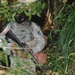 Spartan Scout is USARPAC’s ‘Best Warrior’ NCO
