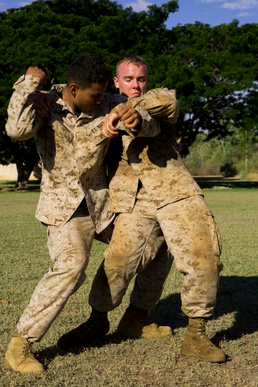Marines host MCMAP course during Exercise Southern Frontier 2014