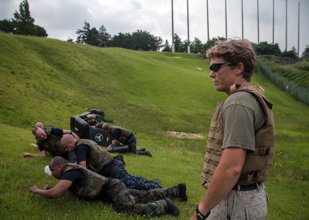 Martial arts training