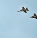 USS George H.W. Bush fly over