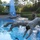 Dive in