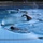 Swimming in ACUs