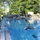 Swim for your life