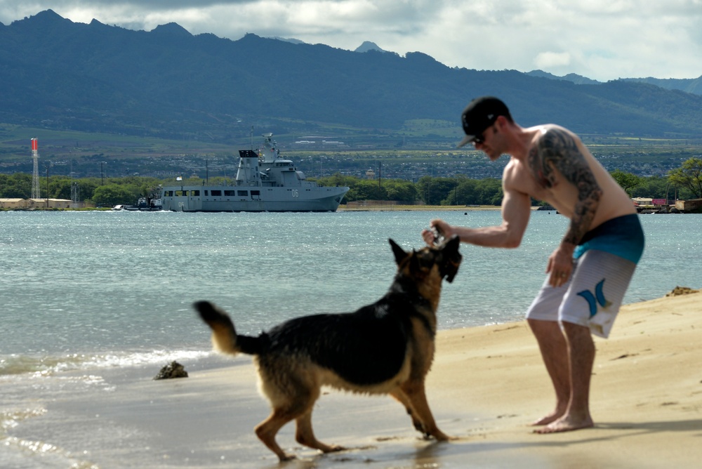 RIMPAC 2014 Ship Arrivals