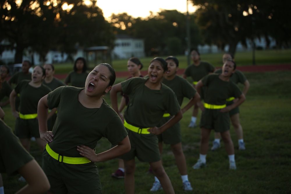 Photo Gallery: Recruits participate in first physical training session on Parris Island