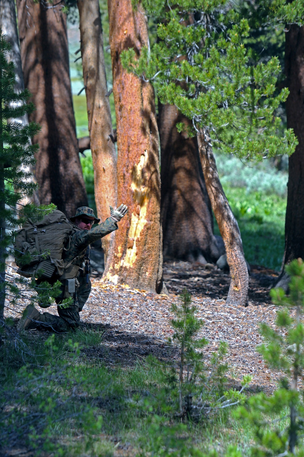 Attacking the Terrain: Second Battalion, Fourth Marines
