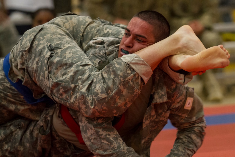 2014 Army Reserve Best Warrior Competition - Combatives