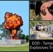 MacDill, TSA joint explosives training goes off with a bang