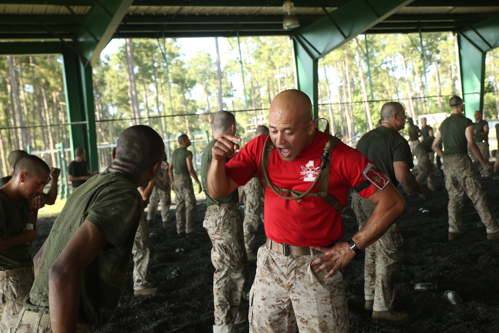 Photo Gallery: Marine recruits practice martial arts techniques on Parris Island
