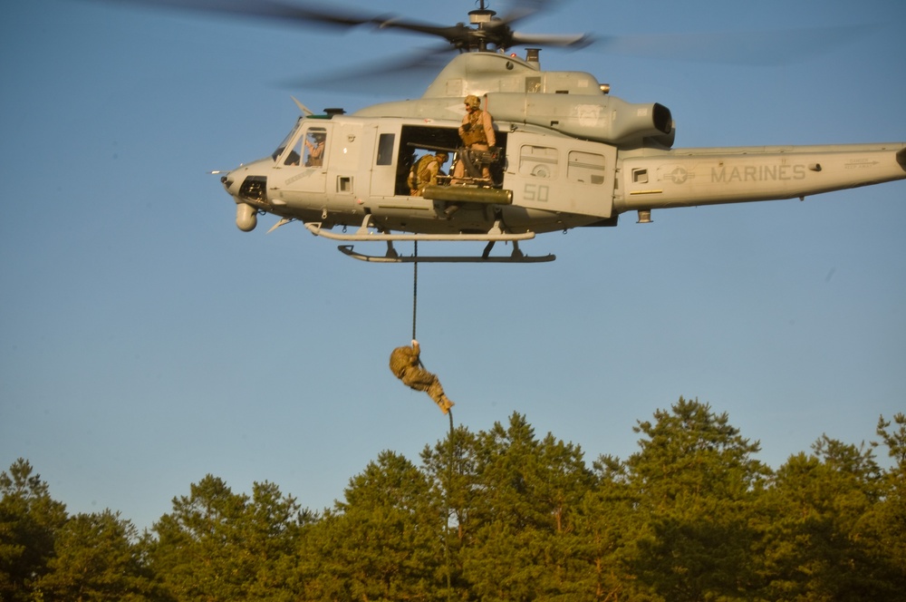 Fast rope insertion and extraction training