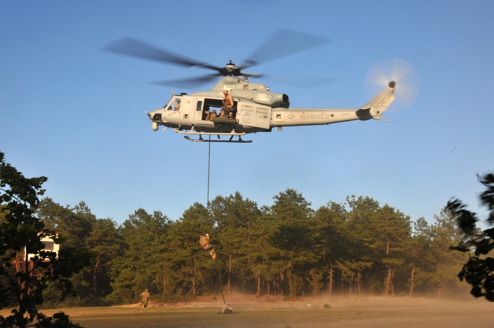 Fast rope insertion and extraction training