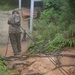 Marines conquer heights at Jungle Warfare Training Center