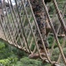 Marines conquer heights at Jungle Warfare Training Center