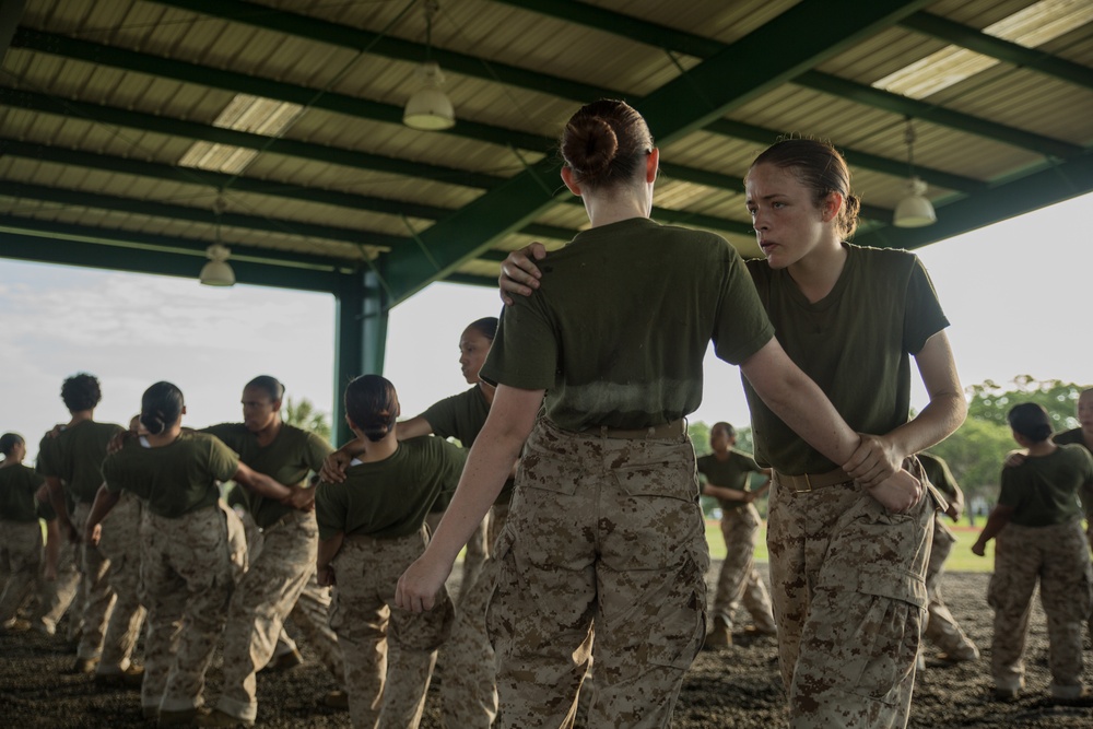 Marine recruits train in martial arts on Parris Island